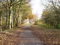 The Consett & Sunderland Railway Path