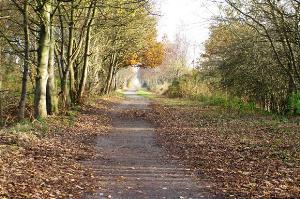 The Consett & Sunderland Railway Path
