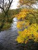 Autumn on the Aire