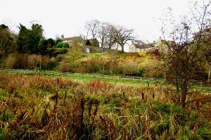 The Wildlife Garden of Bishop Middleham