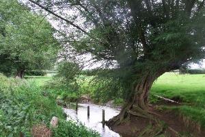 The Carrant Brook alongside the path. To the east, large areas were exploited for sand and gravel between Aston and Kemerton villages. These have now been reclaimed.