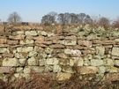 Croxton Park - dry stone wall