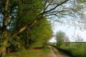 Beacon Hill National Nature Reserve