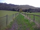 Approaching the scarp face of the North Downs