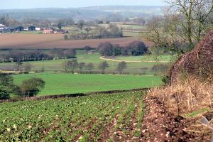 The view towards Bishop