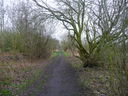 Clowne Linear Park