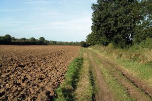 Fosse Way close to Sharnford Lodge Farm