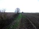 Photo 27 - The footpath follows the hedge up the hill.