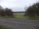 Photo 36 - On reaching the Carlton - Felmersham road, turn left towards Carlton.  After 100m, look out for an obscured footpath marker post behind the bushes to the left of this gate, and turn right.