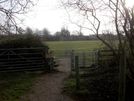 Photo 6 - Leave the wood at the kissing gate and continue across the meadow towards the river.