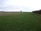 Photo 29 - With the hedge now on the right hand side, continue to the end of this field.