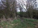 Ploto 28 - There is another footbridge and stile at the end of this field.