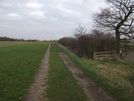 Photo 30 - On reaching the end of this field, meet this track and turn left along it.  Go straight ahead, ignoring the footpath shown here which goes towards Pavenham.