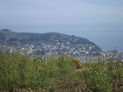 Minehead from Grabbist Hill