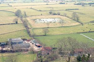 The 17thC duck decoy, seen from Nyland Hill