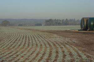 Farmland, Waltham St Lawrence