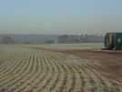 Farmland, Waltham St Lawrence