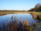 Pond, Billingbear Park