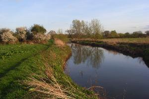 The River Blackwater, Swallowfield