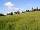 Meadow, Spencers Wood