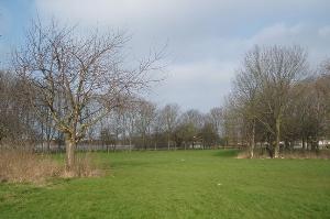 Derry Walk and Blenheim Way