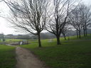 View of park by Ingold Avenue