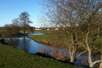 River Culm Near Culmstock