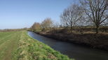 The banks of the River Brue near Tootle Bridge