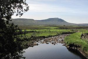 Winterscales Beck with Ingleborough in the distance
