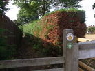Stile with Heart of England waymark