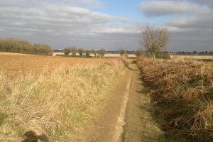 View toward Basingstoke