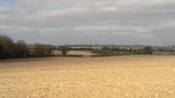 View on outwood trail