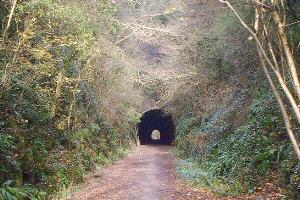 Shute Shelve tunnel. 200 metres long and illuminated by solar powered 