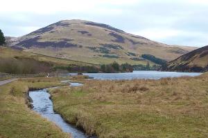 Logan Burn Looking to Glencorse Reservoir