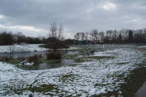 View across pond and play area in Astill Lodge Park