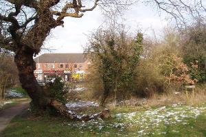 Wildlife oasis on Churchbell Way just off Astill Lodge Road
