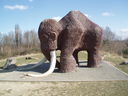 The Millennium Mammoth