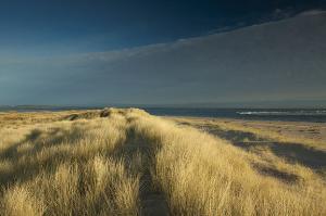 Sea and sand dunes