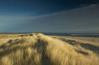 Sea and sand dunes