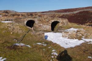 Level entrance Brandy Bottle?