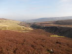 A typical Dales Moorland