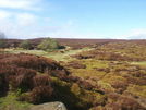 Stanton Moor