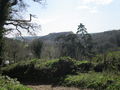 Cadsonbury Fort from track below Pencrebar Farm