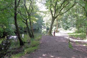 Path by Lynher River