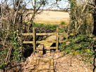 Boardwalk, stile and footbridge that can sometimes be hidden by hedge, growth and vegetation.
