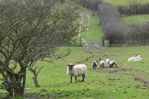 Unclassified County Road