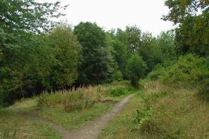 Sunnybank Nature Reserve