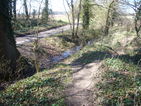 4- The ditch at the junction of the footpath and Clay Street