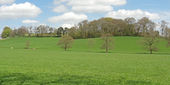 Arbury Hill
