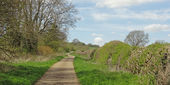 Country Lane near Badby